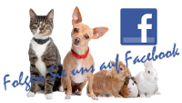 Kleintierpraxis in Burgdorf bei Facebook